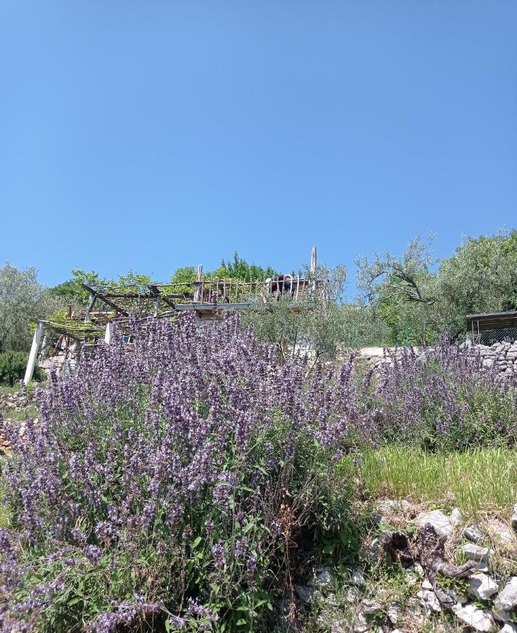 Villa Casa Delle Olive Mošćenička Draga Exterior foto
