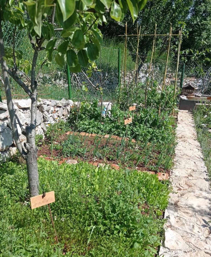 Villa Casa Delle Olive Mošćenička Draga Exterior foto