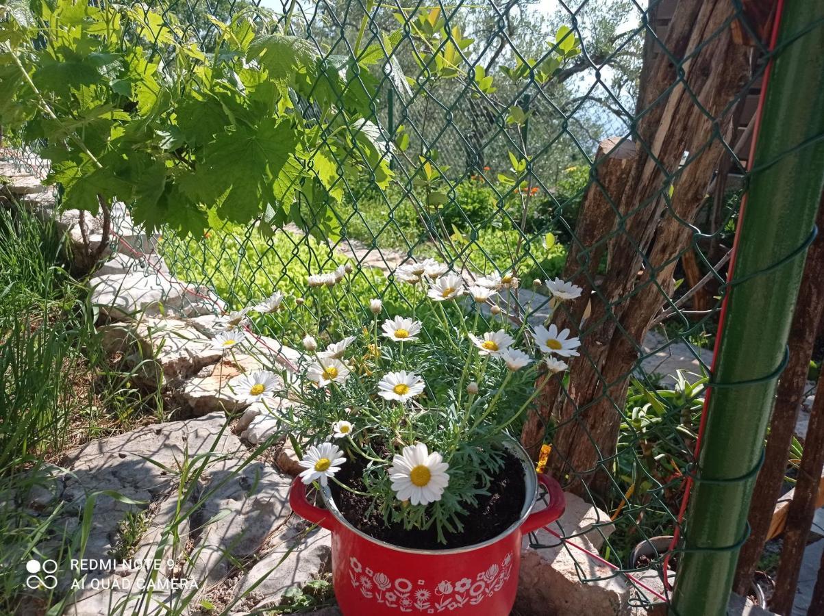 Villa Casa Delle Olive Mošćenička Draga Exterior foto