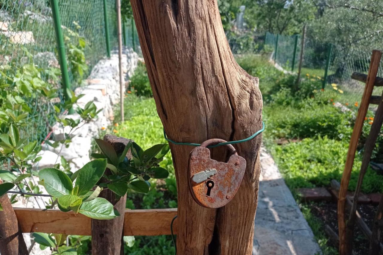 Villa Casa Delle Olive Mošćenička Draga Exterior foto